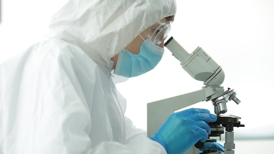 Maymun çiçeği virüsü iddiası!