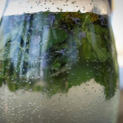 Suyun içerisine eklerseniz... Şaşırtan etki!