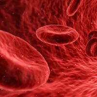 Kan fazlalığı belirtileri