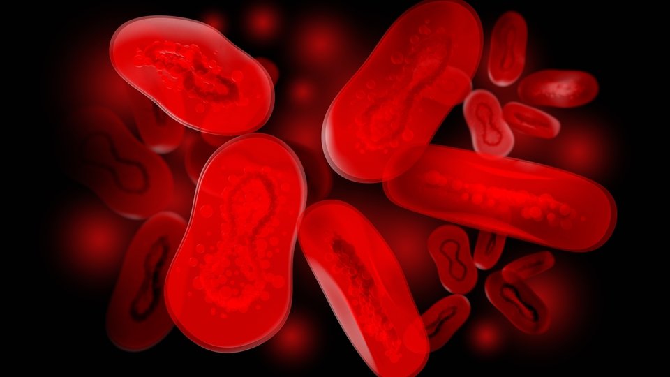 Enfekte kişilere "hayvanlara dokunmayın" uyarısı!