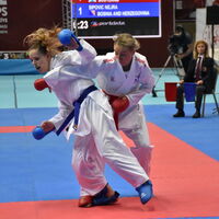 Millerden beş madalya!