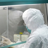 Maymun çiçeği Türkiye'de görüldü mü?