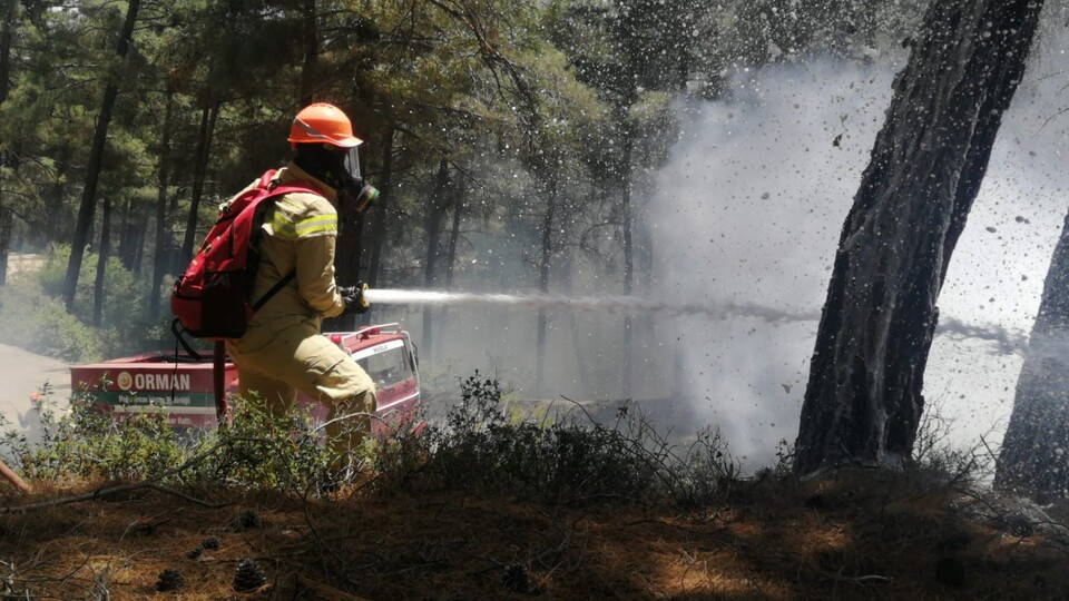 İzmir'de korkutan orman yangını!