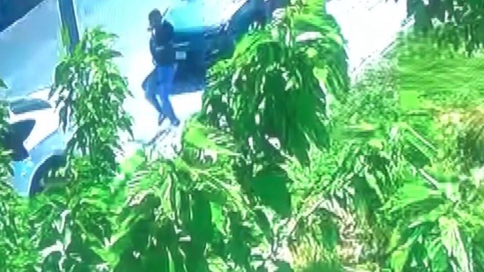 İran'dan mehir ödememek için kaçtı, İstanbul'da vuruldu