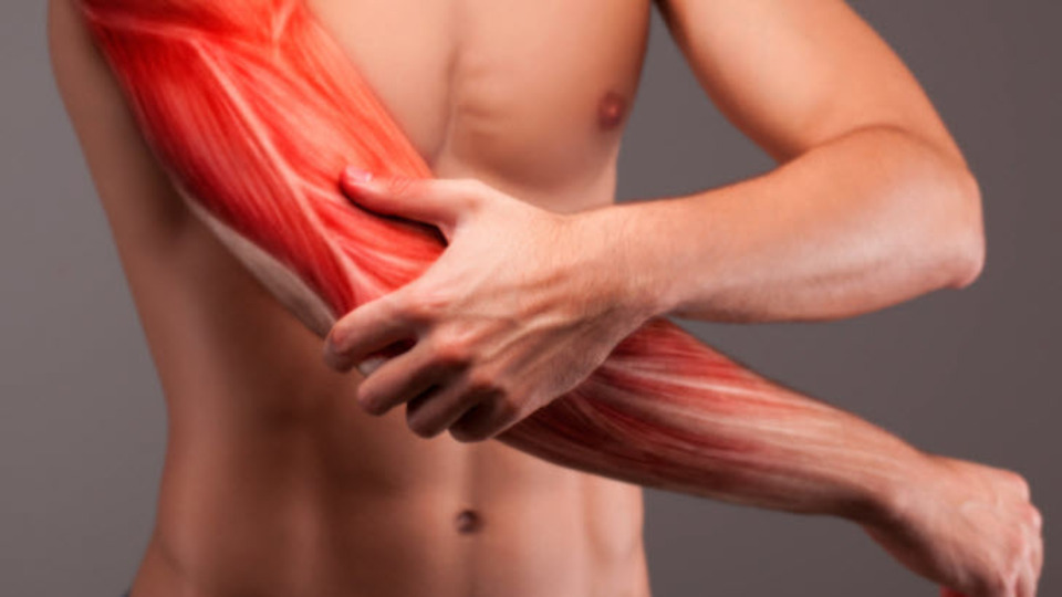 Kas yırtılması belirtileri