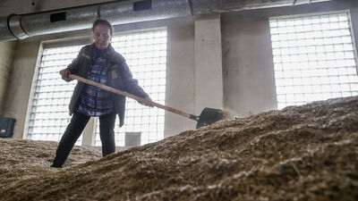 Ukrayna'nın tarım ihracatı yüzde 80 azaldı