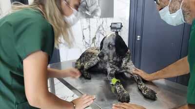 Dumanı döven saldırganın cezası belli oldu!