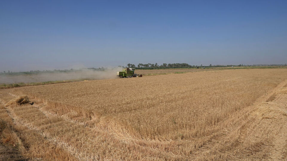 Küresel gıda krizinin çözümünde "İstanbul planı" hazır