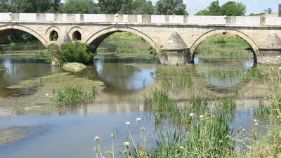Tunca'da çevre felaketi! Nehir çöplüğe döndü