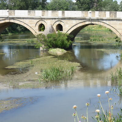 Tunca'da çevre felaketi! Nehir çöplüğe döndü