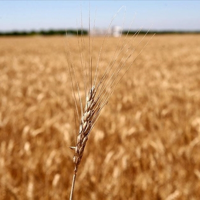 Rusya ve BM'den 'tahıl krizi' zirvesi