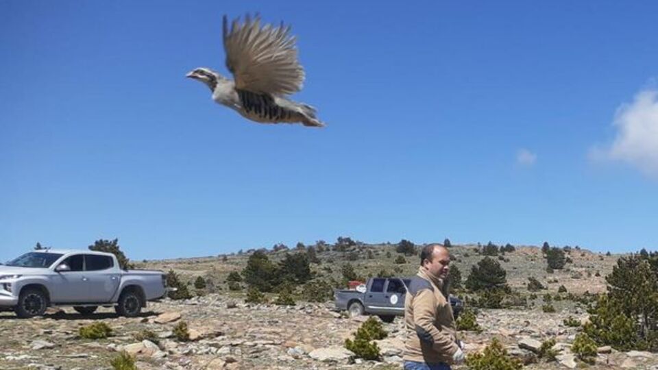 Keklik timi görev başında