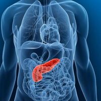 Pankreas kanseri iyileşme belirtileri