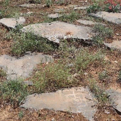 Denizli'de tarihi değiştirecek keşif!