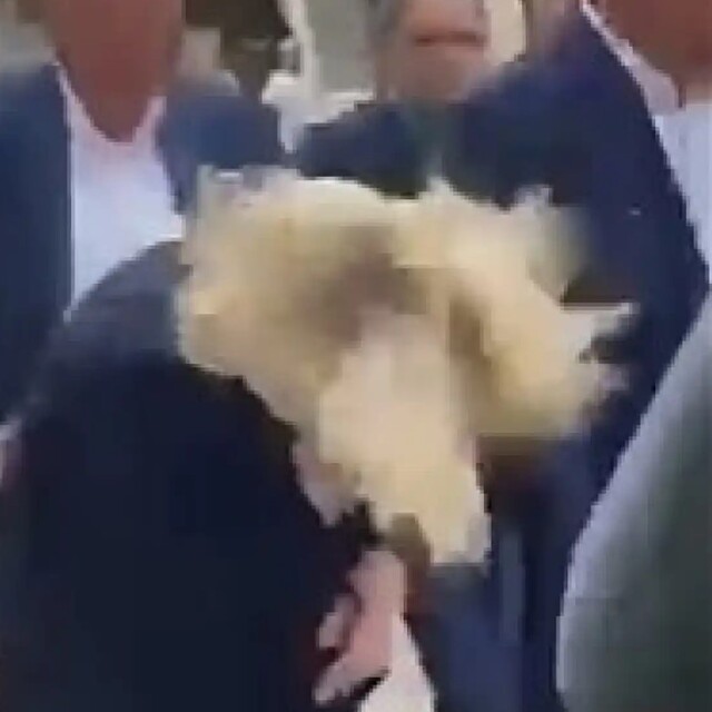 Fransa'da aşırı sağcı Le Pen'e yumurtalı saldırı
