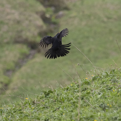 Sabahın ilk ışıklarıyla gözlemlediler