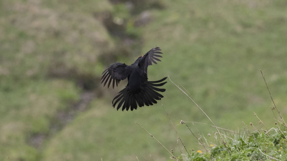Sabahın ilk ışıklarıyla gözlemlediler
