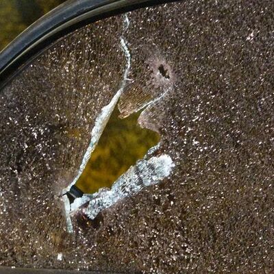 Bağ evinde cinayet! Amca 2 yeğenini vurdu