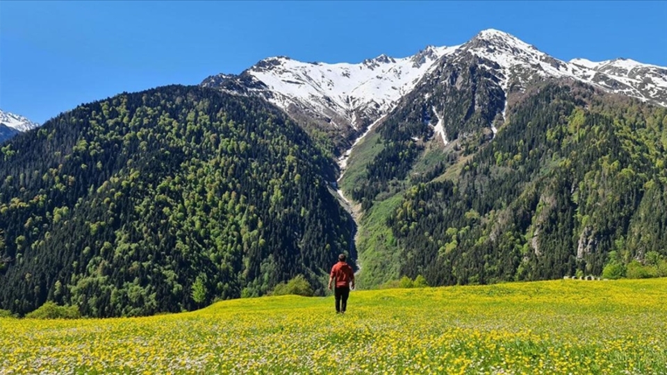Endemik bitkiler çiçek açtı