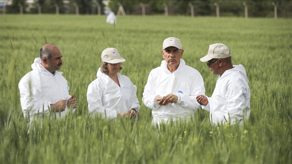'İnşallah buğday sorunu yaşamayacağız'