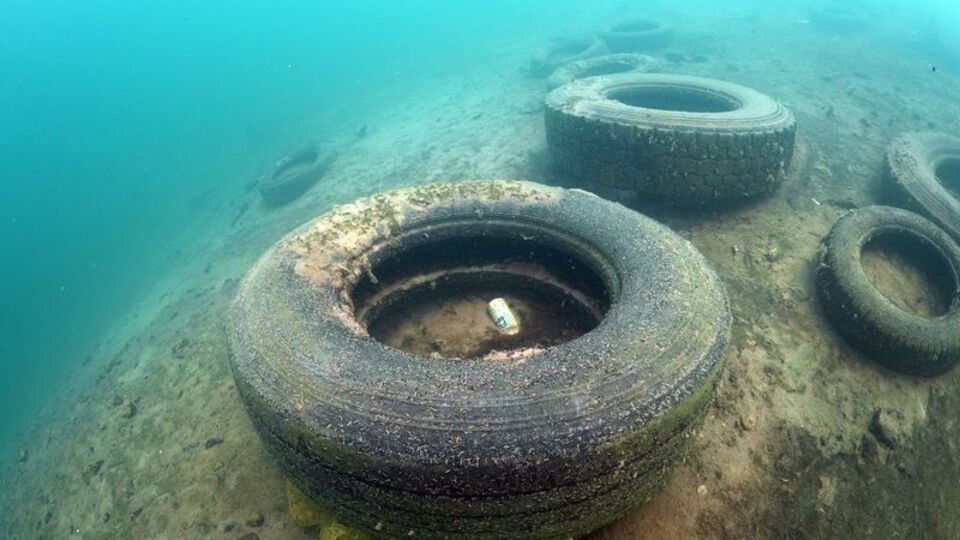 Van Gölü'nde dip temizliği