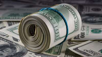 Mayısta en fazla reel getiri dolarda oldu