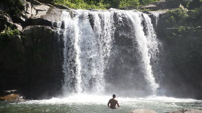 Yeşilin tonları arasındaki güzellik: Çiseli