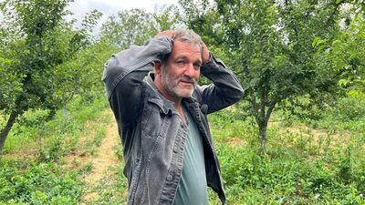 Erik tarlası soyulan çiftçiden hırsıza mesaj!