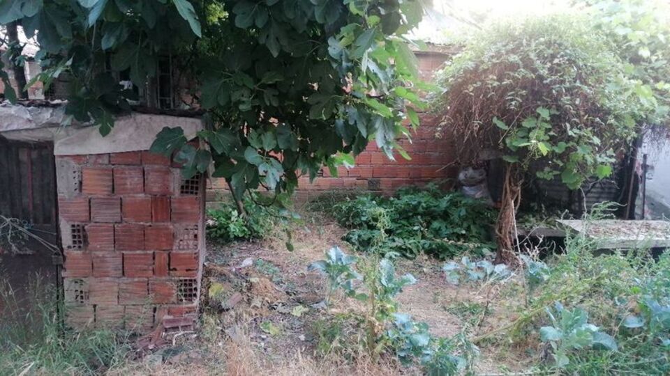 Yaprak toplamak isterken canından oldu