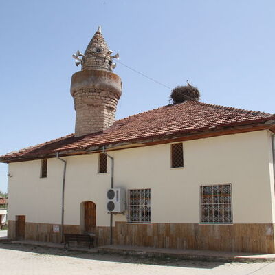 Tarihi caminin çatısı leyleklere yuva oldu