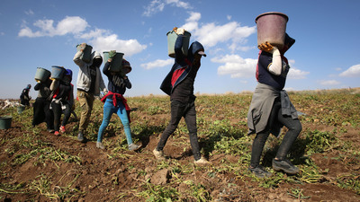 Mevsimlik işçinin tazminat hakkı