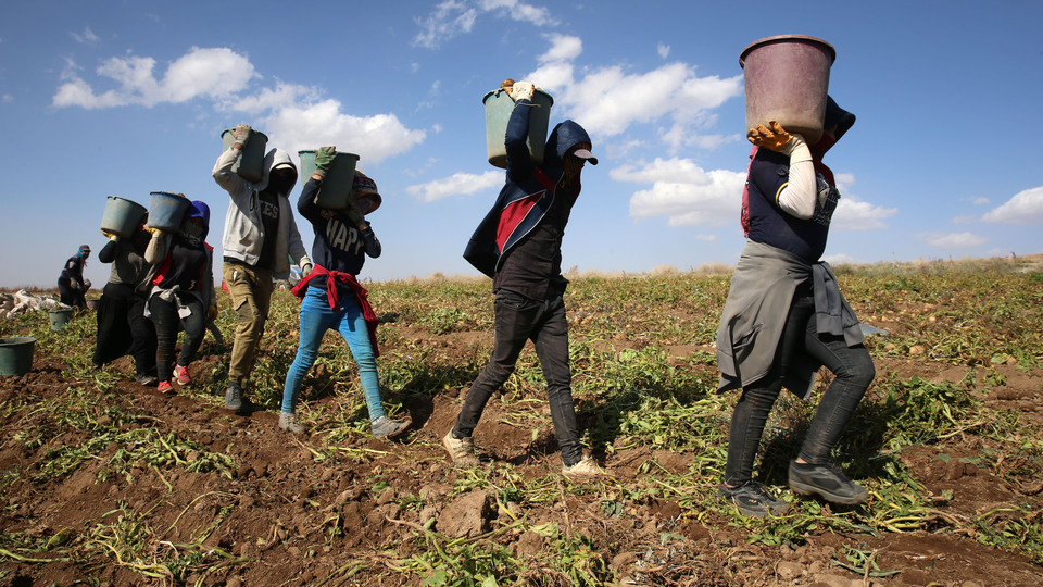 Mevsimlik işçinin tazminat hakkı
