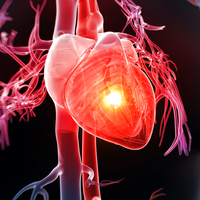 Kalp sağlığı için süper besinler!