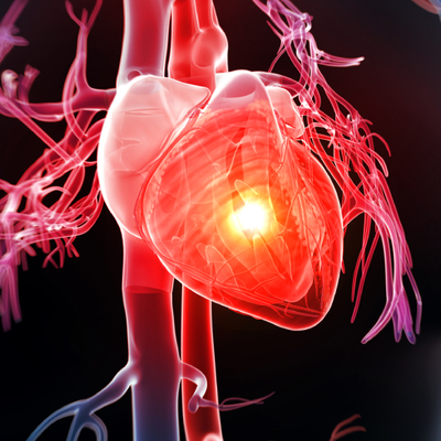 Kalp sağlığı için süper besinler!