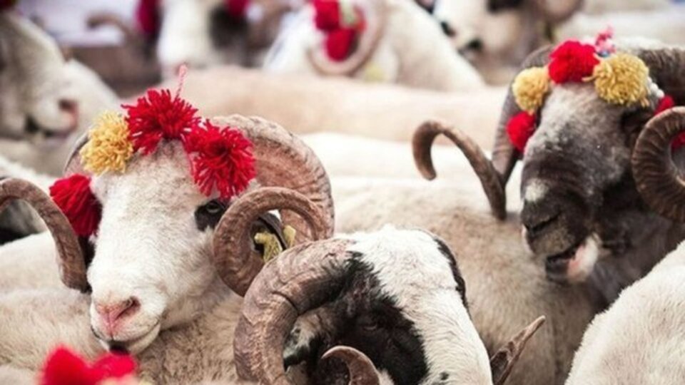 Kurban Bayramı tatili ne zaman başlıyor?