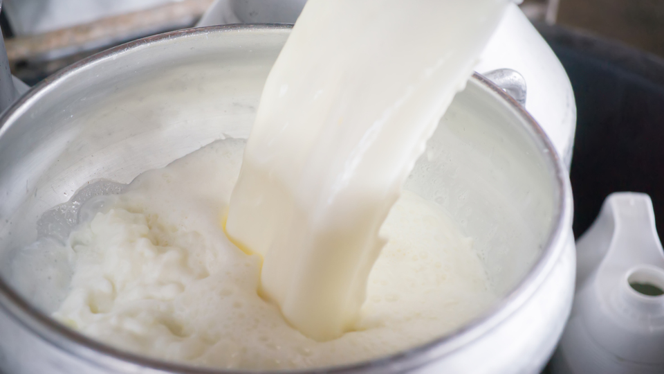 Süt ve süt ürünleri kanser riskini artırabilir mi?