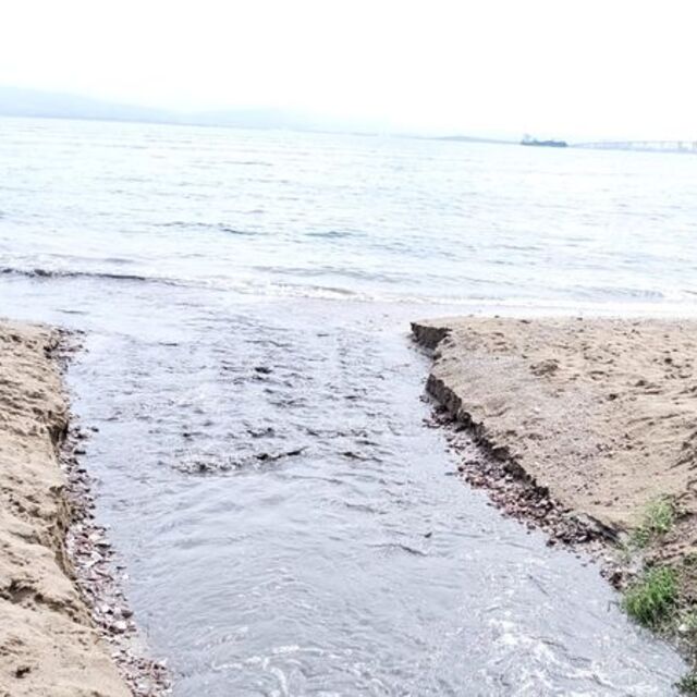 İzmit Körfezi karardı! İşte sebebi...