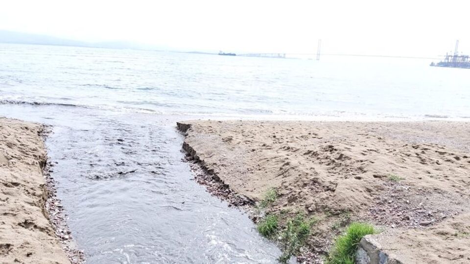 İzmit Körfezi karardı! İşte sebebi...