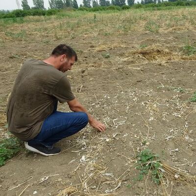 Adana'da 'pes' dedirten olay! Çiftçi şoke oldu