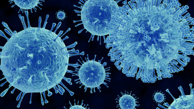 Acillik eden virüs!