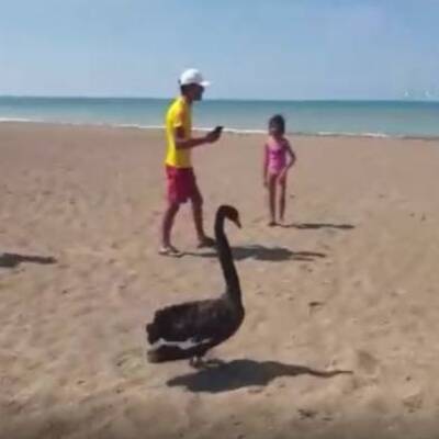 Antalya'da sürpriz... "Nereden geldiği hakkında bir bilgimiz yok"