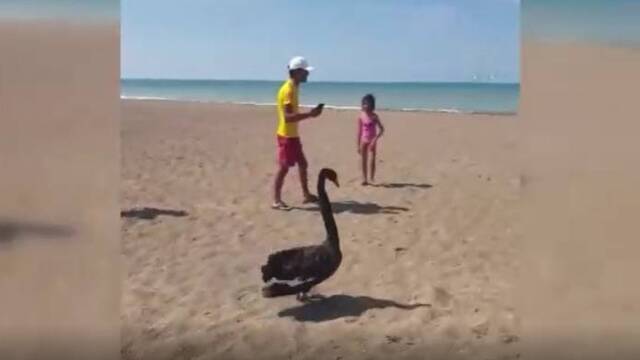 Antalya'da sürpriz... "Nereden geldiği hakkında bir bilgimiz yok"