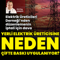 Yerli elektrik üreticisine neden çifte baskı uygulanıyor?