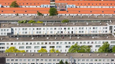 Hollanda'da konut sorununa 'çöpçatanlı çözüm'