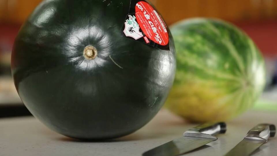 Dudak uçuklatan teklif! Bir tanesi 77 bin TL'ye satıldı