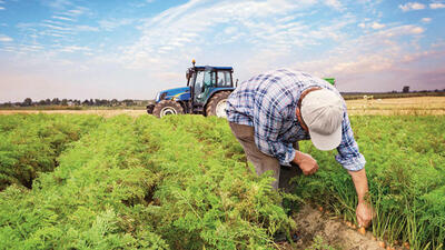 Tarım ÜFE rekor kırdı