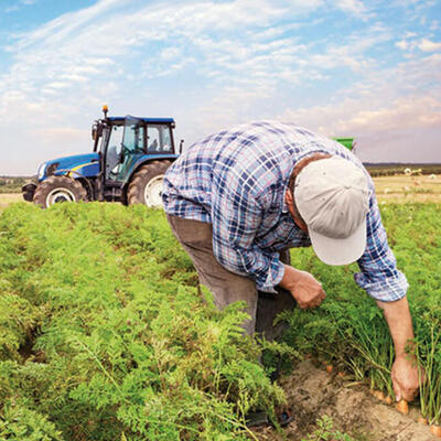 Tarım ÜFE rekor kırdı