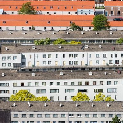 Hollanda'da konut sorununa 'çöpçatanlı çözüm'