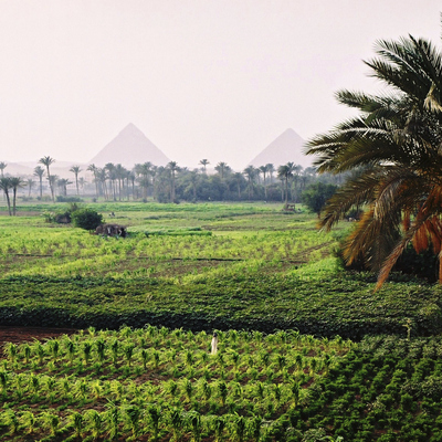 AB'den Mısır'a 3 milyar euroluk tarım desteği