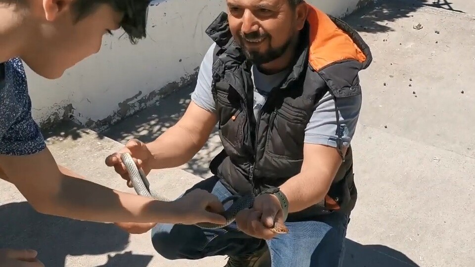 İlginç anlar! Yakaladığı yılanı çocuklara sevdirdi